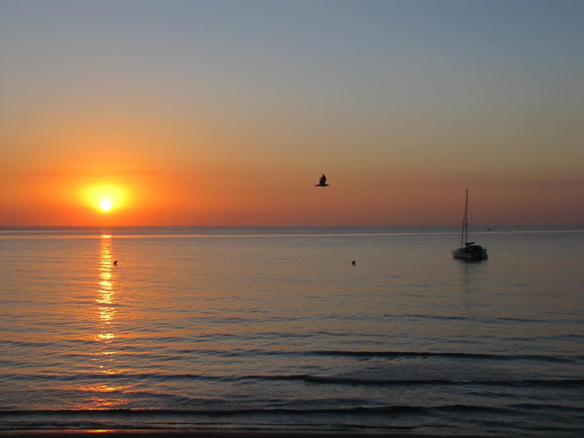 Excepcional Apartamento Loft A Pie De Playa En Chalet Roquetes Alicante Ngoại thất bức ảnh